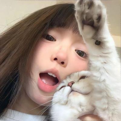 神秘森林